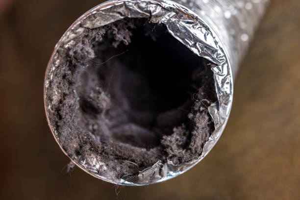 Best Ventilation Cleaning Services  in Wakefield, NE