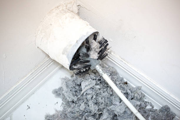 Best Local Air Duct Cleaning Services  in Wakefield, NE