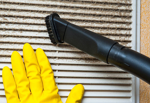 Best Home Air Vent Cleaning  in Wakefield, NE